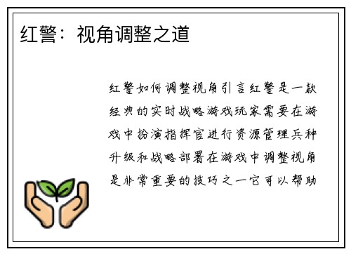 红警：视角调整之道